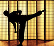 kung fu kick