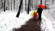 Video: Woman and girl walking in snow-covered park holding hands Woman and girl walking in snow-covered park holding hands