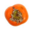 Persimmon Overhead View