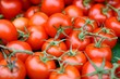 Tomaten