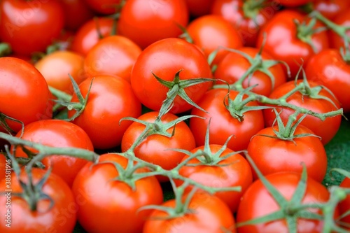Foto: Tomaten Tomaten