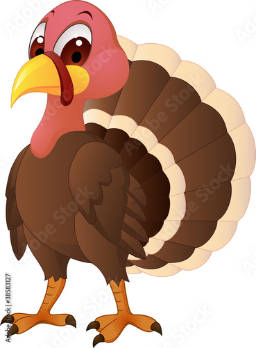 Vector: Turkey cartoon Turkey cartoon