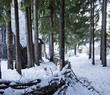 Contry road under snow