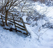 fence in the snow