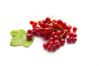 Photo: Wet currant isolated on white Wet currant isolated on white