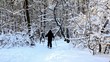 boy skiing in warm sport clothes at forest covered by snow