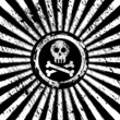 jolly roger sign