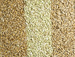 Weizen, Buchweizen und Dinkel