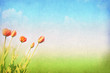 Spring, summer background Spring, summer background