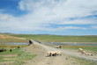 Mongolie