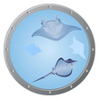 Porthole