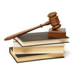 Studying Law