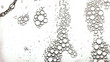 Soapsuds at a short distance Soapsuds at a short distance