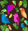 colorfull parrots on trees, vector illustration