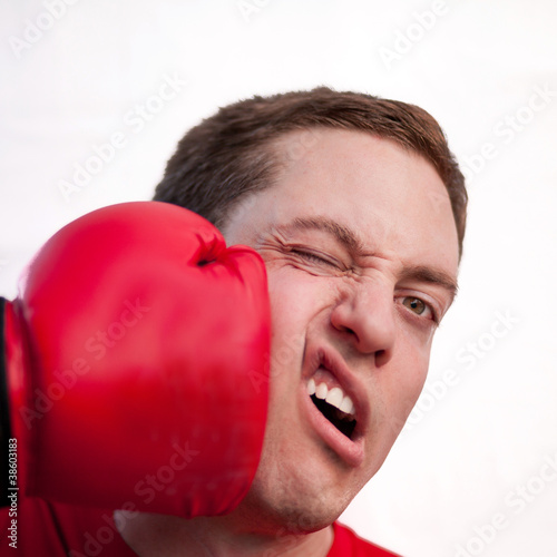 Photo: Boxer Boxer