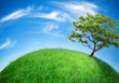Photo: green Earth green Earth