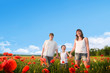 family in red poppy field