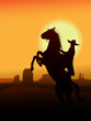 Hero of wildwest go in sunset