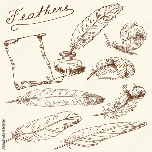 Vector: feathers, scroll, old times feathers, scroll, old times