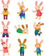 set of rabbit
