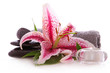 Wellness,Massage