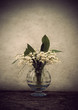 Photo: Still life with lily-of-the-valley Still life with lily-of-the-valley