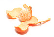 orange tangerine on white background orange tangerine on white background