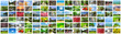 Collage of many nature photos