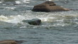 Video: Rocky water Rocky water