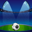 Soccer Ball in Stadium
