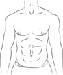 Vektor: Man torso abs Man torso abs