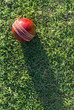 Cricket Ball On Grass Cricket Ball On Grass