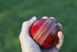 Hand Holding Cricket Ball Hand Holding Cricket Ball
