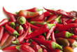 Red Hot Chilli Red Hot Chilli