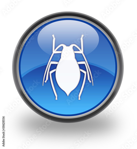 Illustration: Insects glossy button Insects glossy button
