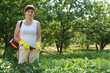 Woman spraying potato plant