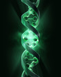 DNA strands