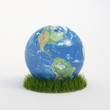 Earth globe in grass