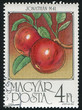 Apples