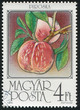 Peaches