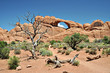 Skyline Arch