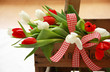 Tulpen