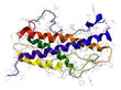 Human growth hormone somatotropin