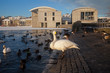 Winter sunshine around Reykjavik city centre