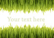 green grass