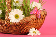 basket on pink