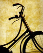 bicycle print