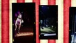 circus circus