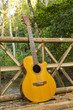 Guitar with Travel