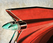 caddy tail fin